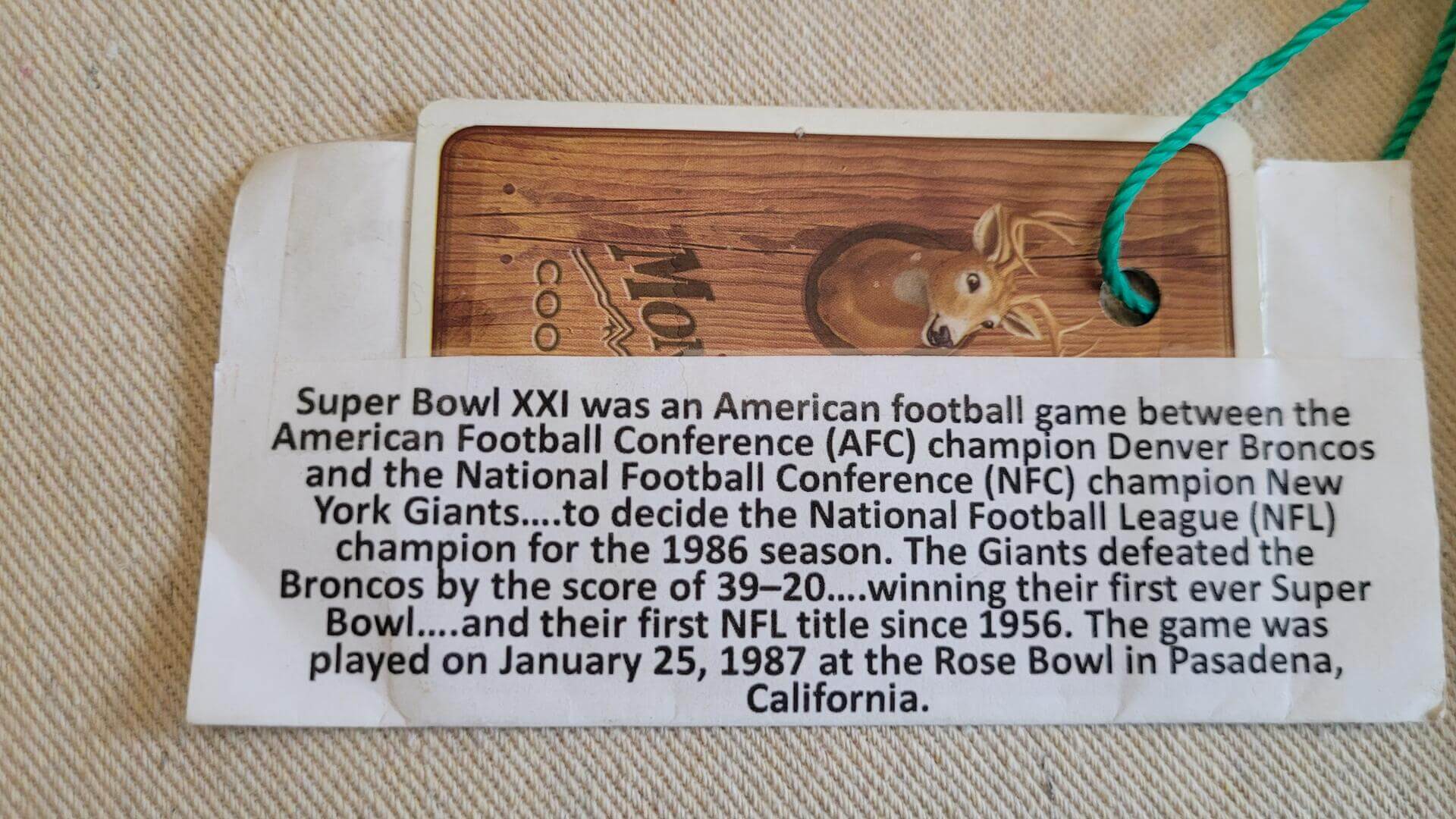 Vintage 1987 Super Bowl XXI Broncos vs Giants football art piece signed by Joni Carter.