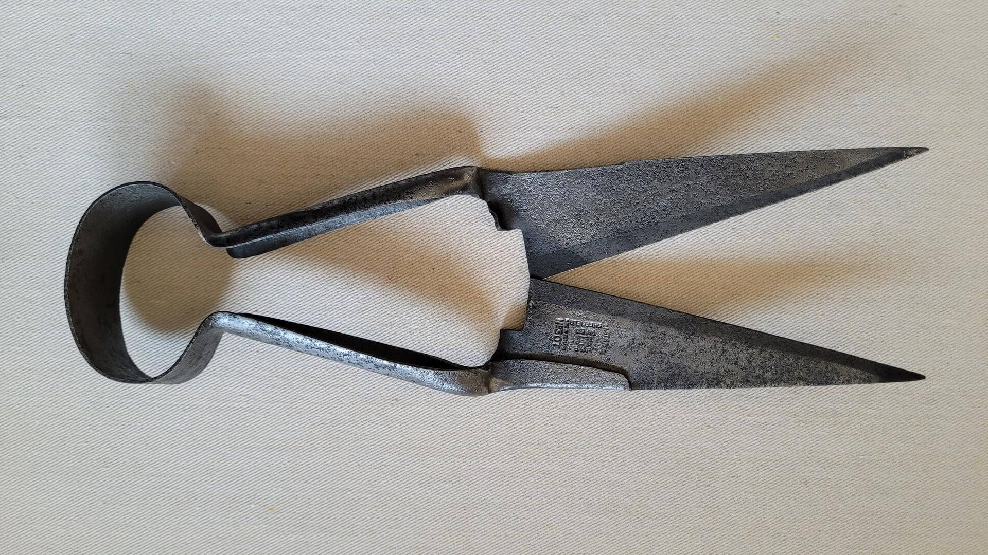 Antique steel Ward No 30 sheep shears. Vintage made in Sheffield England collectible primitive farm tools, livestock trimming scissors and hand clippers